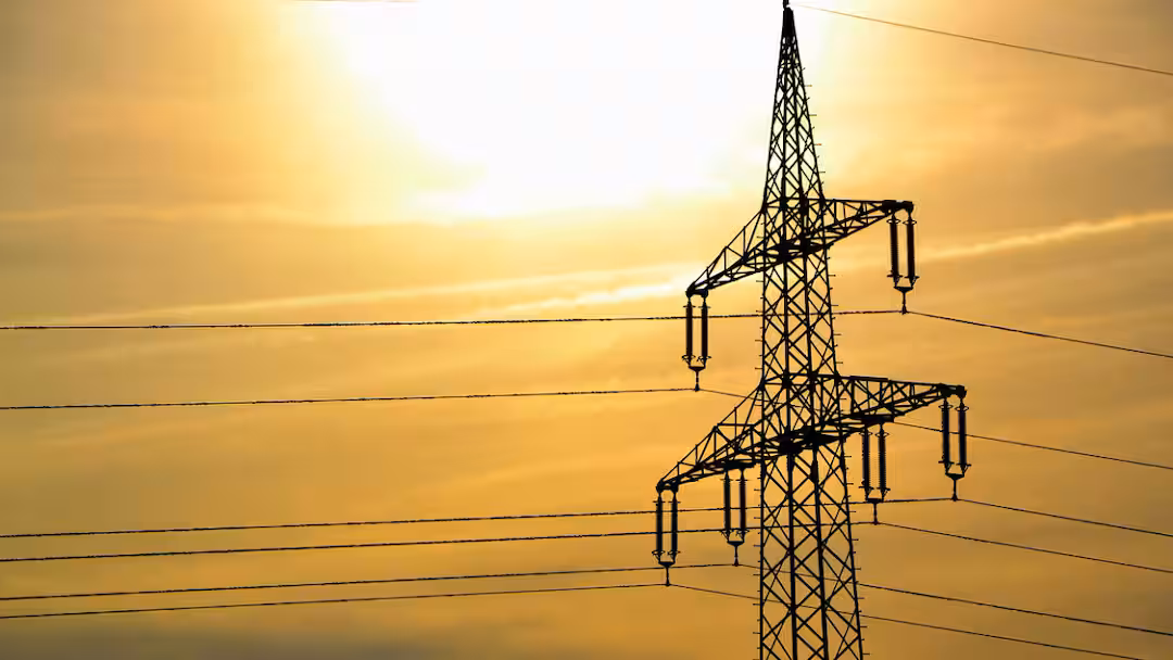 Udumalpet Power Cut: உடுமலைப்பேட்டையில் நாளை (12-08