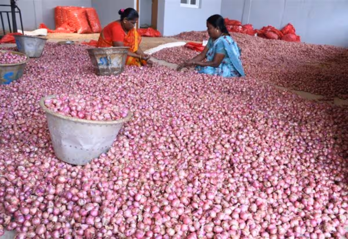 ஒட்டன்சத்திரம் மார்க்கெட்டில் அதிகரித்த காய்கறிகள் விலை
