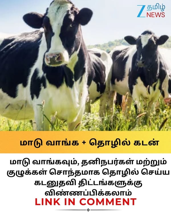 தொழில் தொடங்க 15 லட்சம் ரூபாய், கறவை மாடு வாங்க 60 ஆயிரம் கடனுதவி