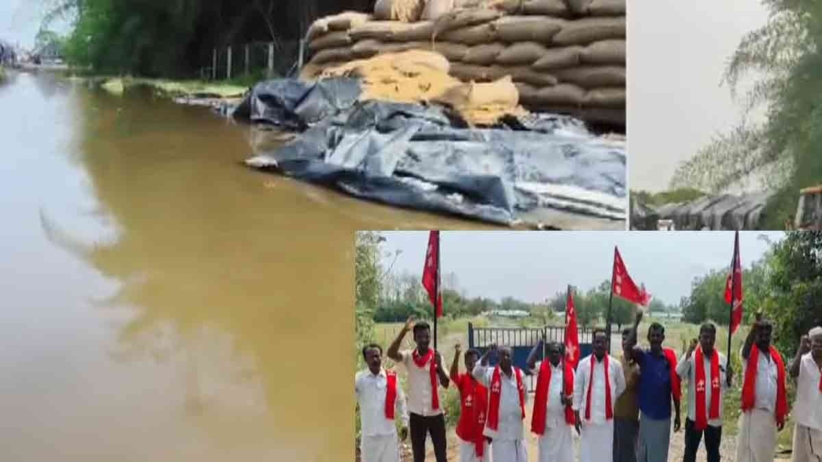 'மழையில் நனைந்த நெல்மூட்டைகள்; உள்ளூரிலே இருந்தும் வராத வேளாண் அமைச்சர்'