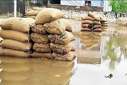 தமிழகத்தில் அரிசி விலை கிலோவுக்கு ஐந்து ரூபாய் அதிகரிப்பு