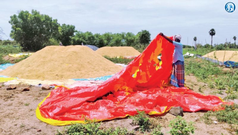 உத்திரமேரூர் அருகே மழையில் நனைந்த நெற்பயிர்கள் கவலையில் விவசாயிகள்