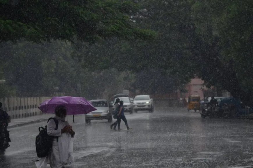 TN Weather: எந்தெந்த மாவட்டங்களில் மழை வெளுக்கும்... வெளியான வானிலை அப்டேட்!