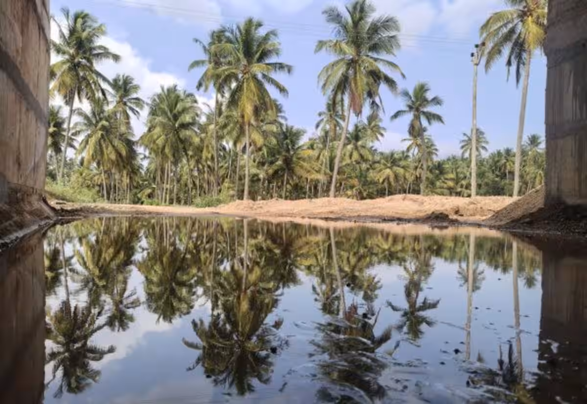 பொள்ளாச்சியில் வடகிழக்கு பருவமழை ஆரம்பமே அமர்க்களம்! தொடர்ந்து பெய்தால் வறட்சி நீங்கும்